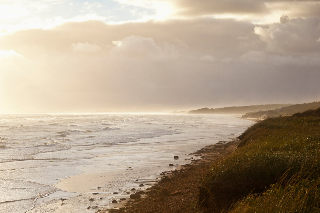 Kanada, Prince-Edward-Island- Nationalpark, Brackley-Dalvay, Beach