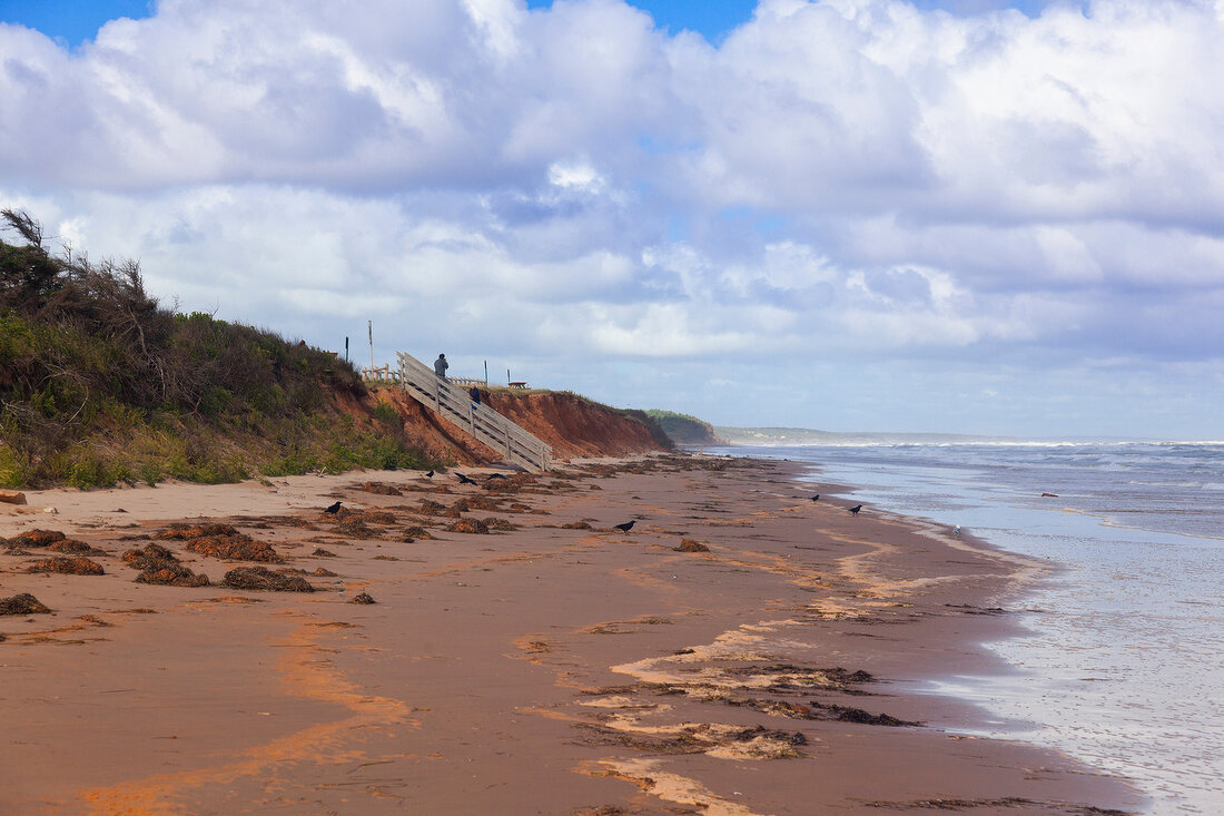 Couple walking on beach of Brackley-Dalvay, Prince Edward island National park, Canada