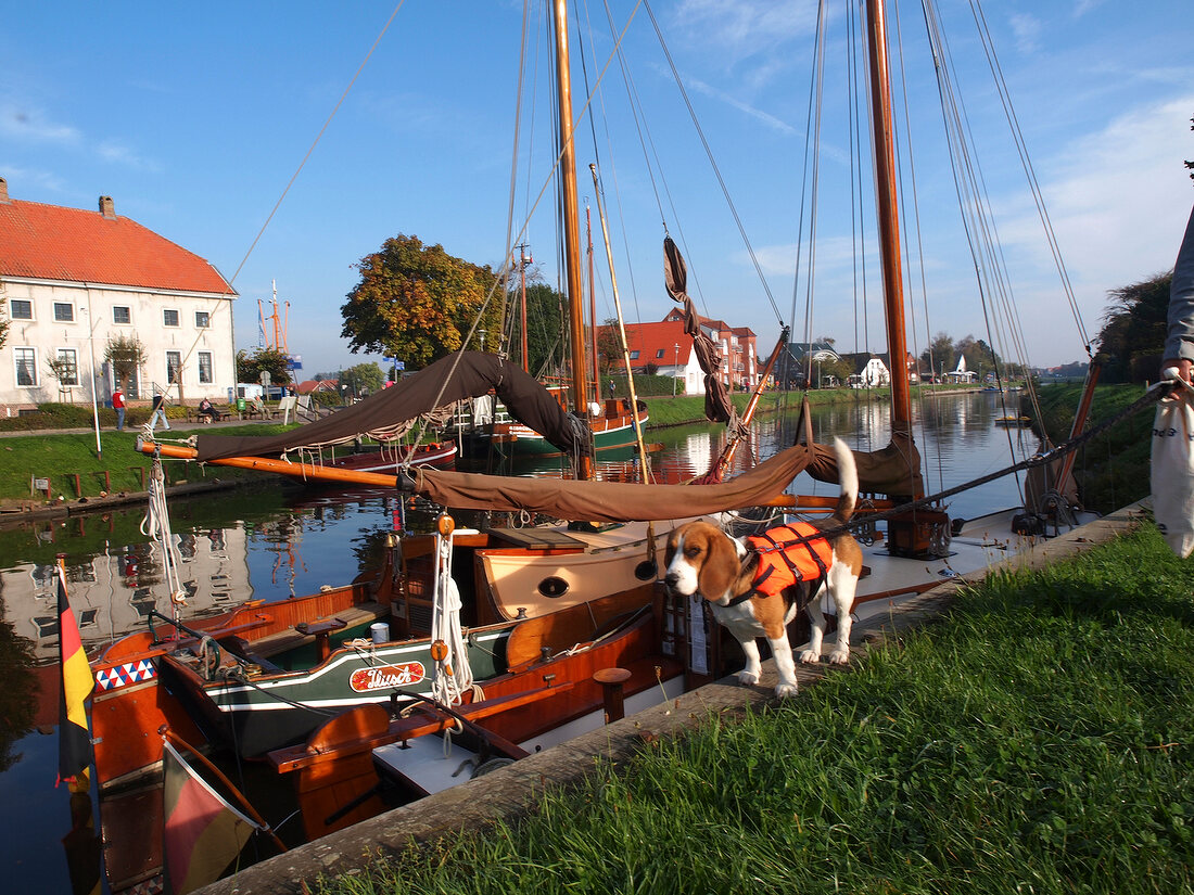 Boats moored in port of Carolinensiel, Spiekeroog, Lower Saxony, Germany