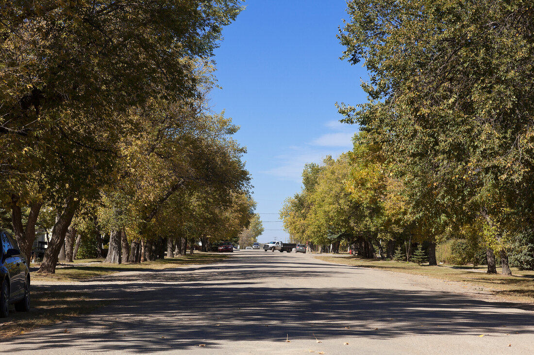 View of tree lined on Highway 15, Saskatchewan, Canada