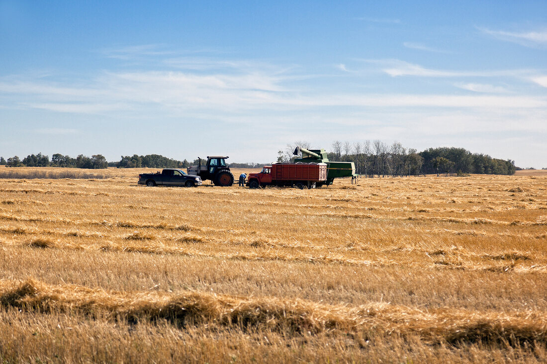 View of harvester in fields along Highway 731, Saskatchewan, Canada
