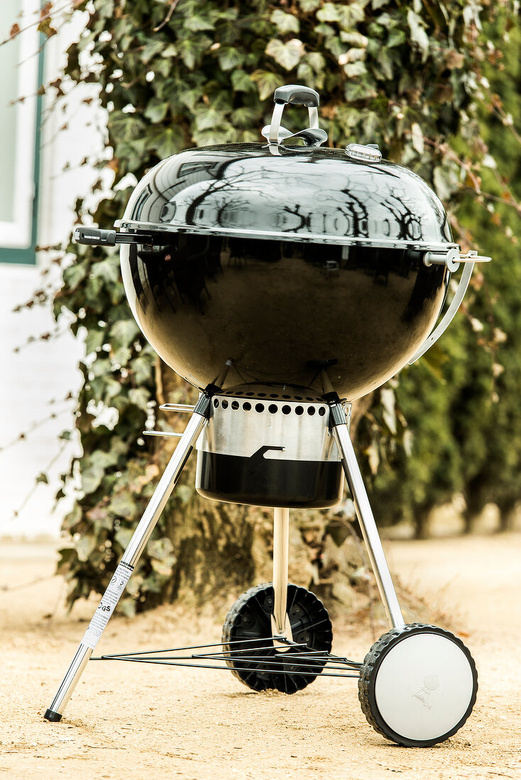 Weber Master-Touch GBS, Grill mit Deckel, Kugelgrill, rund, Test