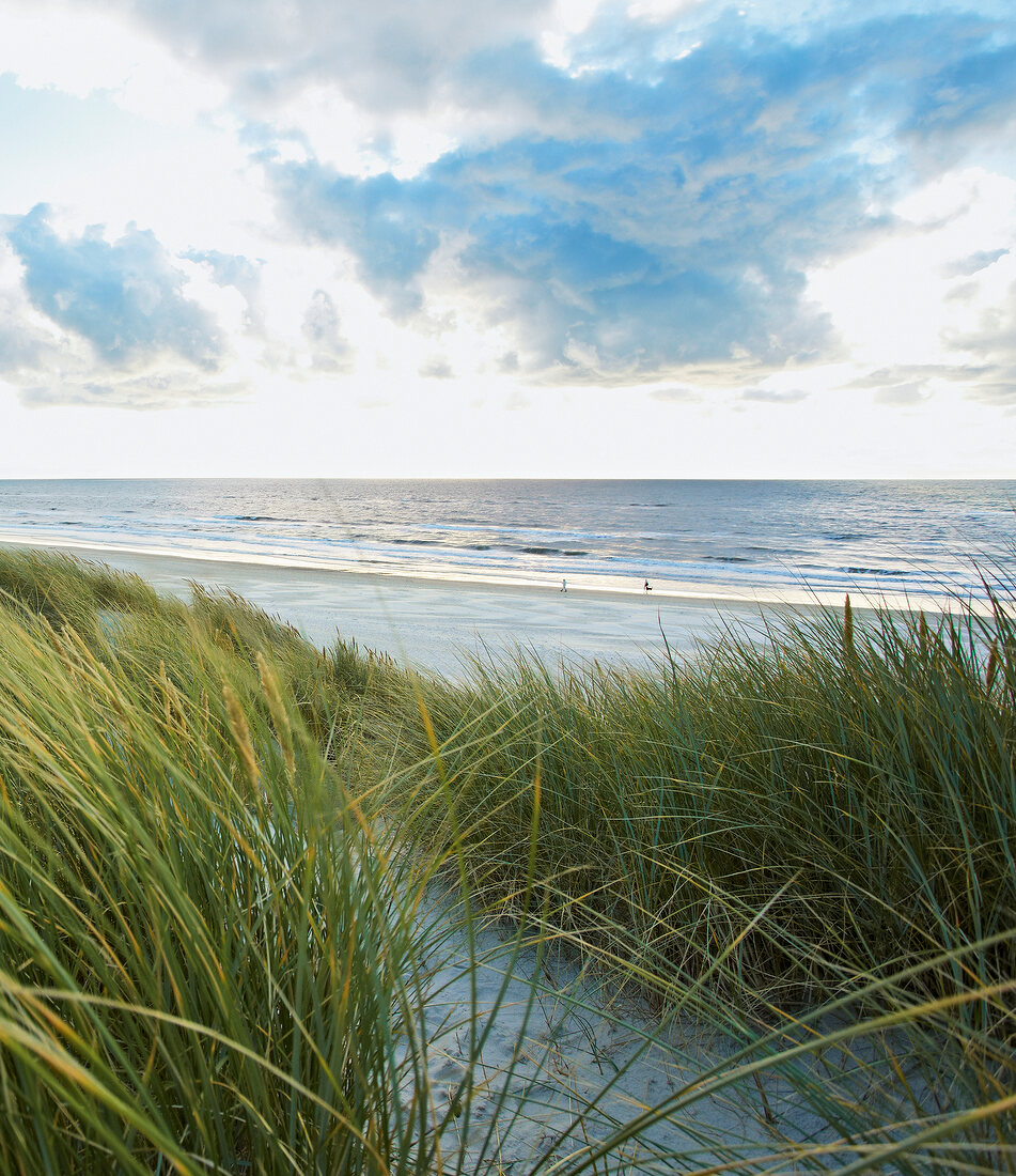 View of sea and grasses on beach at North Sea coast of Jutland, Jutland, Denmark