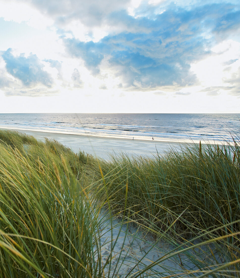 jütländische Nordseeküste, Jütland, Dänemark, Strand, malerisch