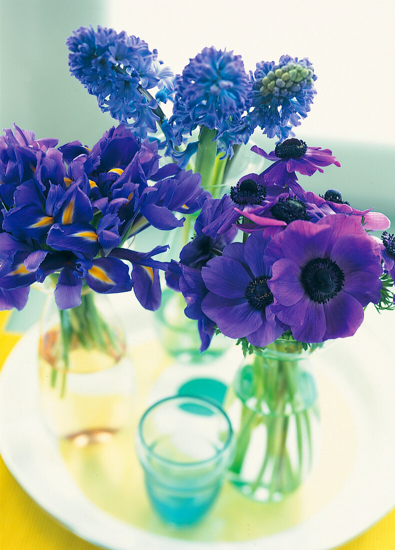 Vasenspaß, different flowers in blue, purple, violet