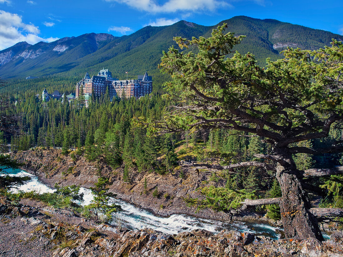 View of forest, Banff Springs Hotel and Banff National Park, Alberta, Canada
