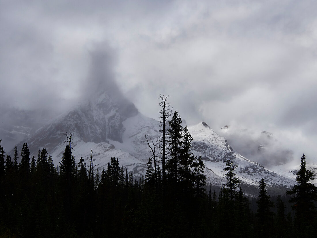 View of Icefield Parkway with snow and fog in Banff National Park, Alberta, Canada