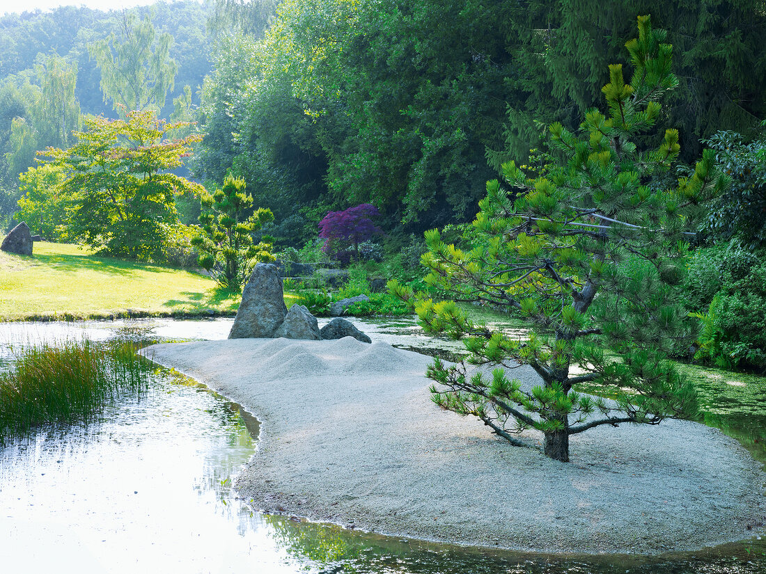 View of Castle Park and Zen garden with pebbles and rocks