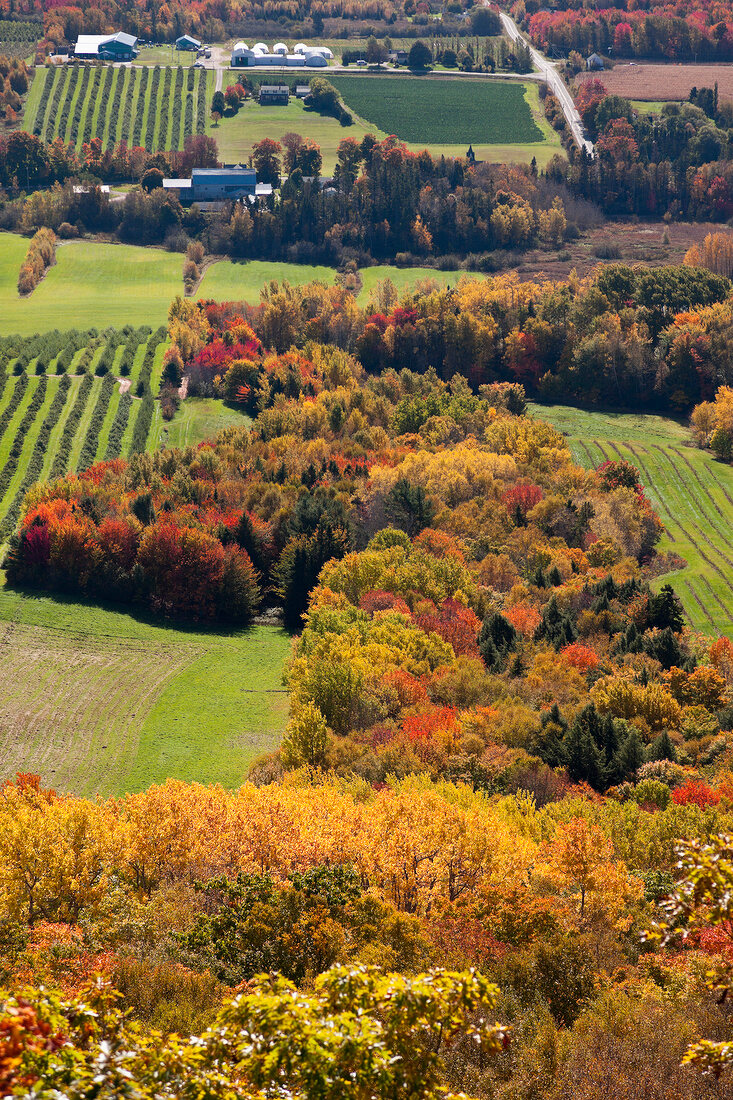 View of landscape with Canning fields around, Gospel Woode Road, Nova Scotia, Canada