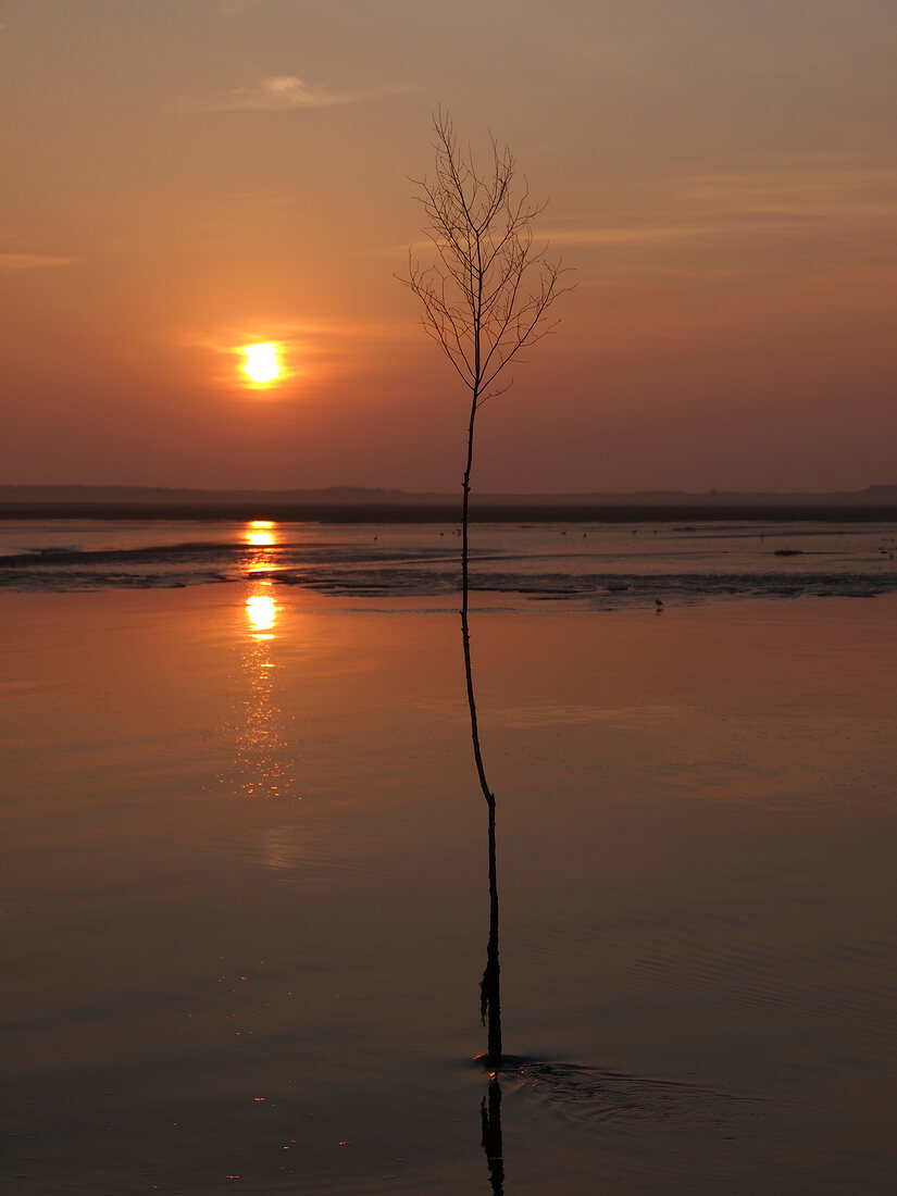 View of Wadden sea at sunset, Neuharlingersiel, Lower Saxony, Germany