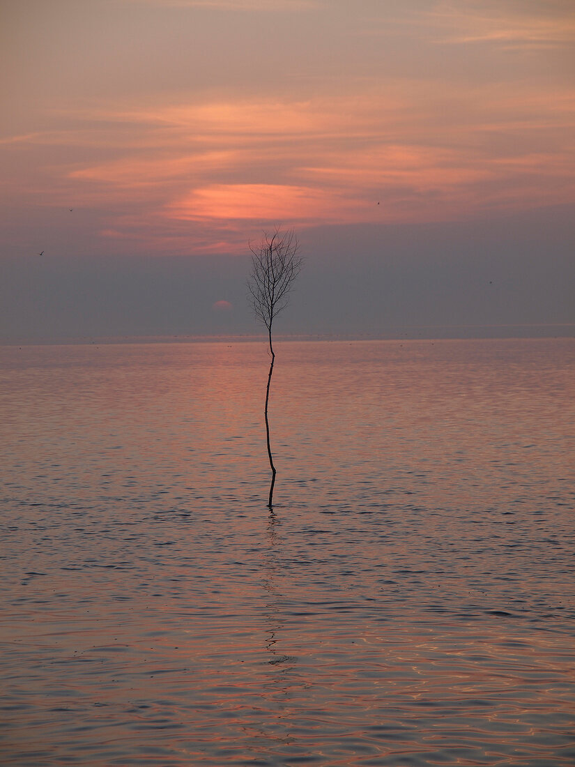 View of Wadden sea at sunset, Neuharlingersiel, Lower Saxony, Germany