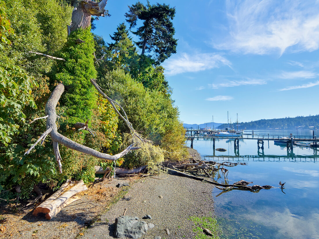 Sooke harbour at Vancouver island, Sooke, British Columbia, Canada