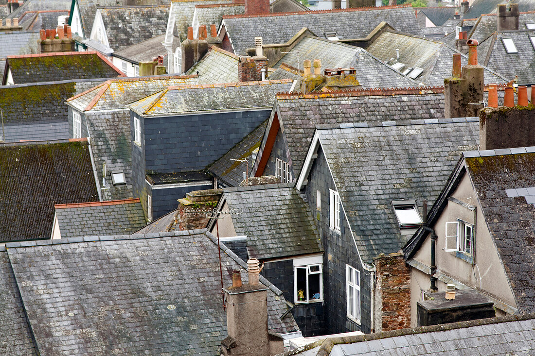 View of houses from roof, Totnes, England, UK