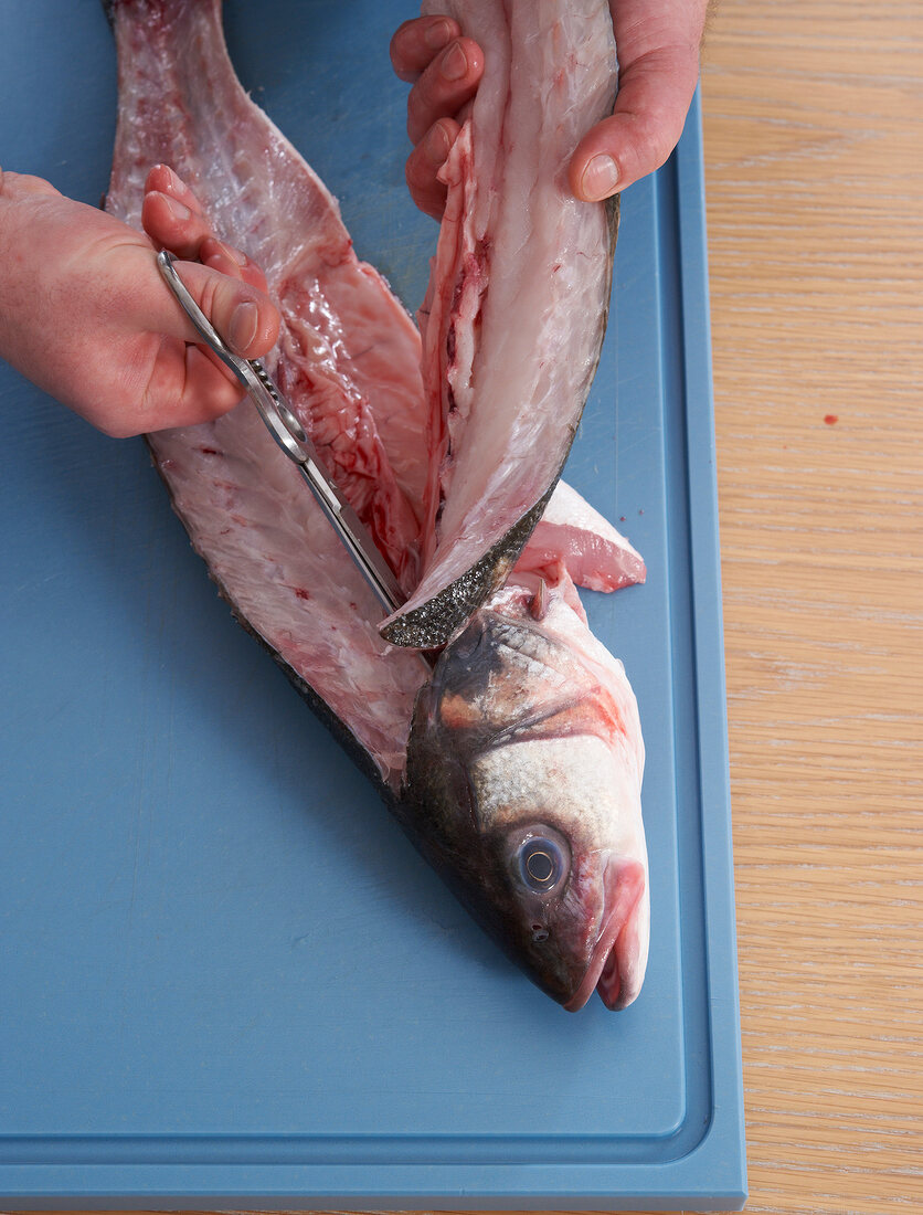 Close-up of sea bass fillet being cut with scissors