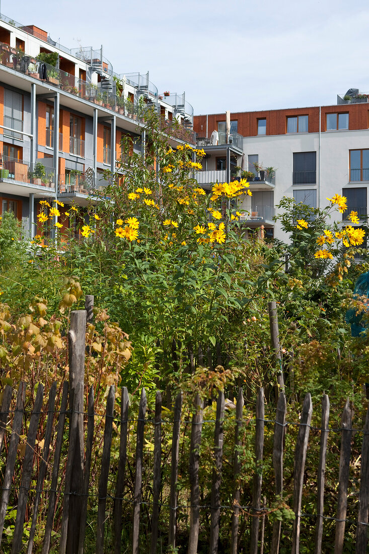 Freiburg, Quartier Vauban, 