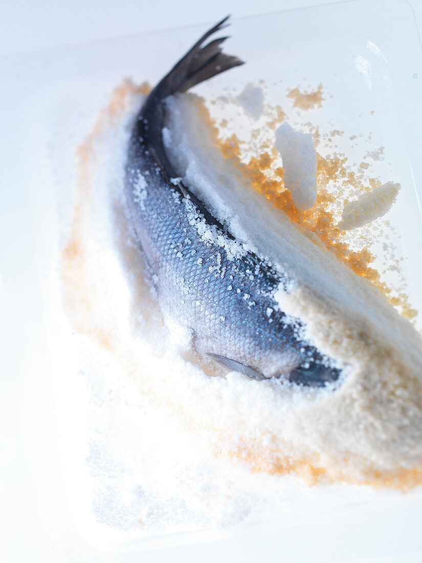 Close-up of sea bass in sea salt