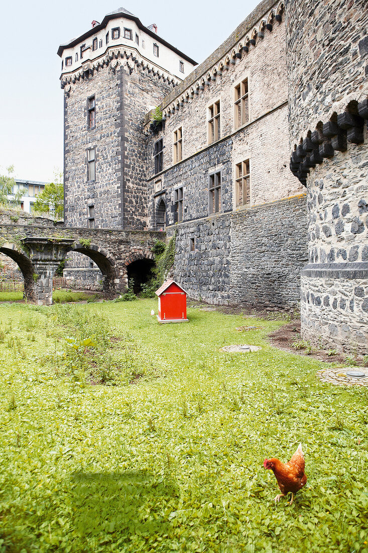 Castle of the city of Andernach in Germany