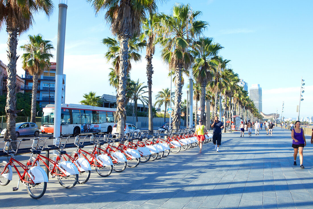 View of bicycle rental bicing at Port Olimpic Promenade, Barcelona, Spain