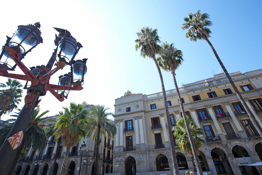 View of palm trees and lantern at Placa Reial in Barcelona, Spain, Low angle view
