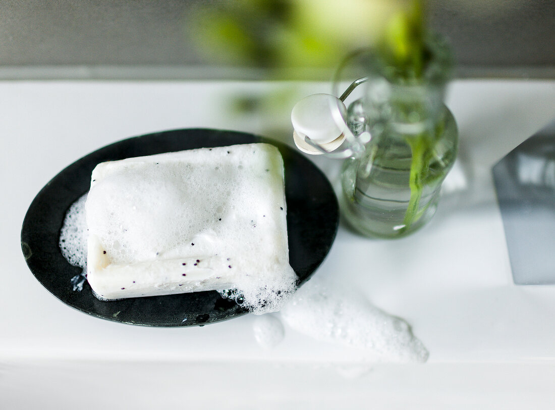 Sofa in soap dish with foam