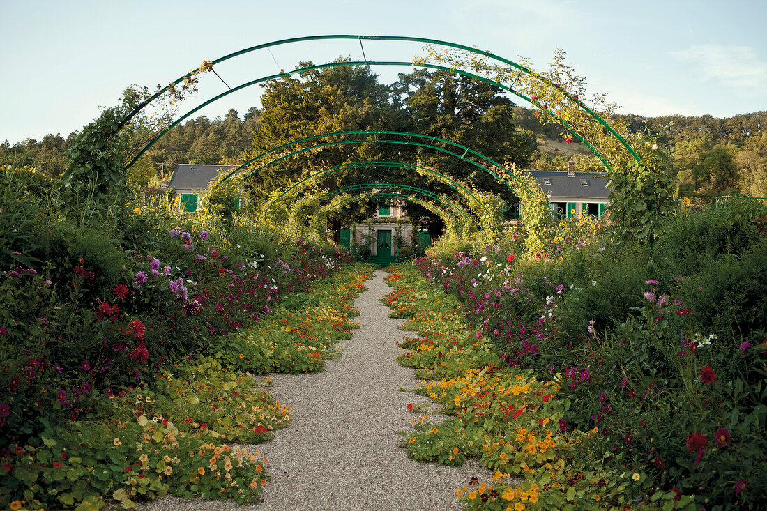Garden with metal arches in avenue, Fondation Claude Monet, Giverny, France