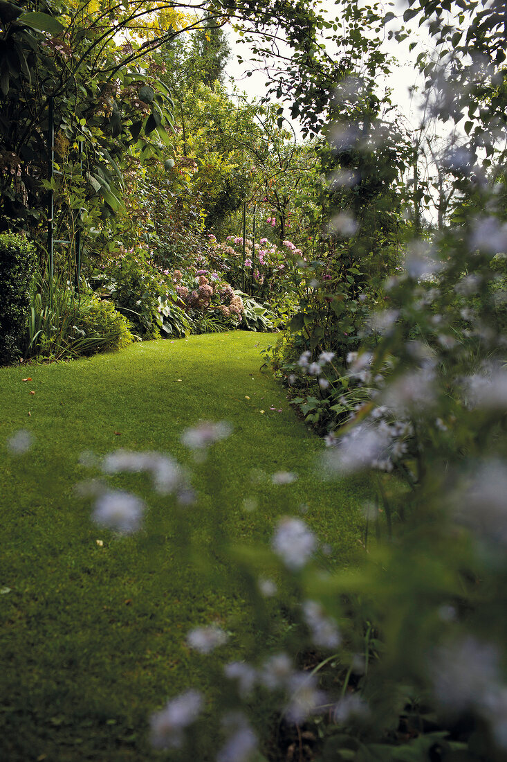 View of park at Jardins d'Angelique in Montmain, France