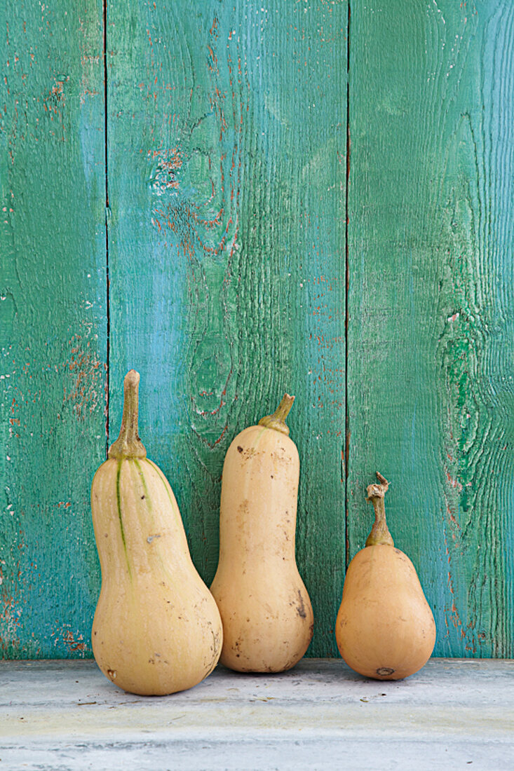 Butternut squash in front of wooden wall