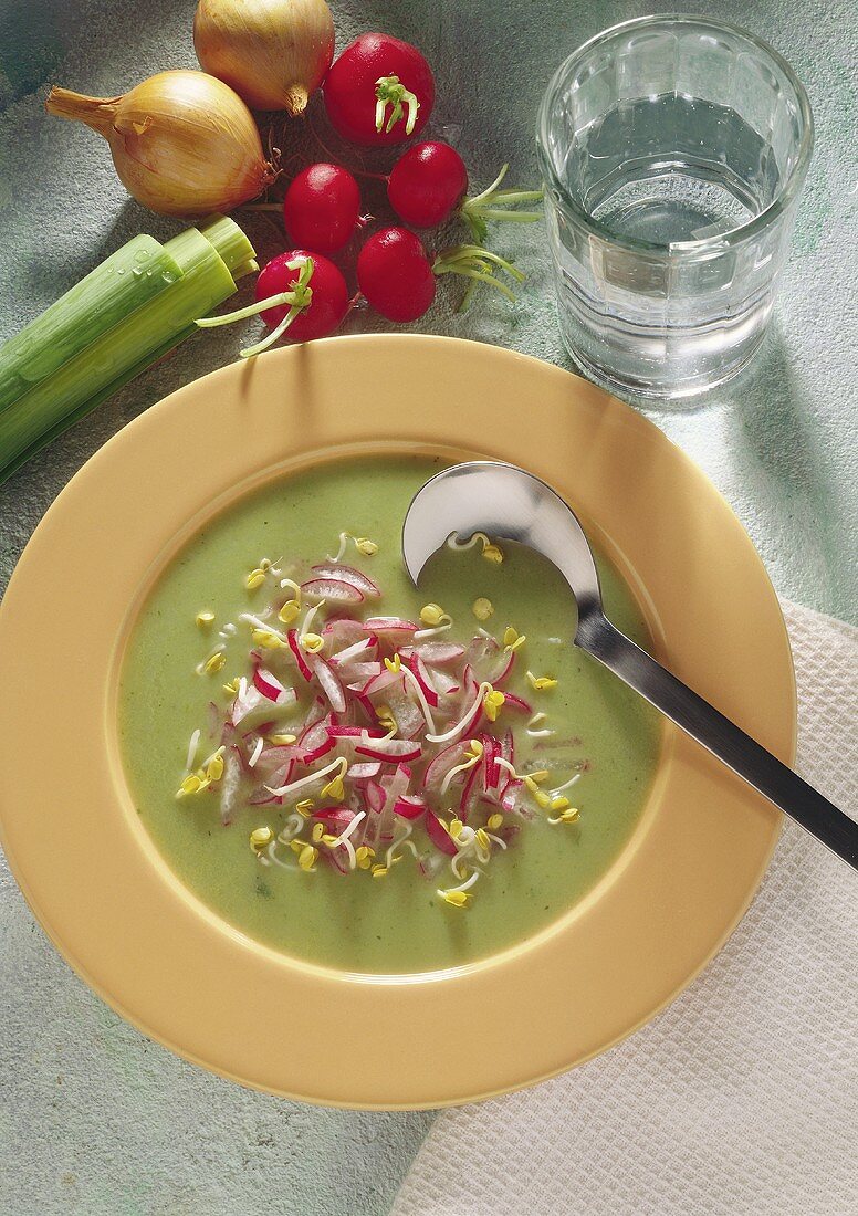 Radish-Leek Soup with Sprouts