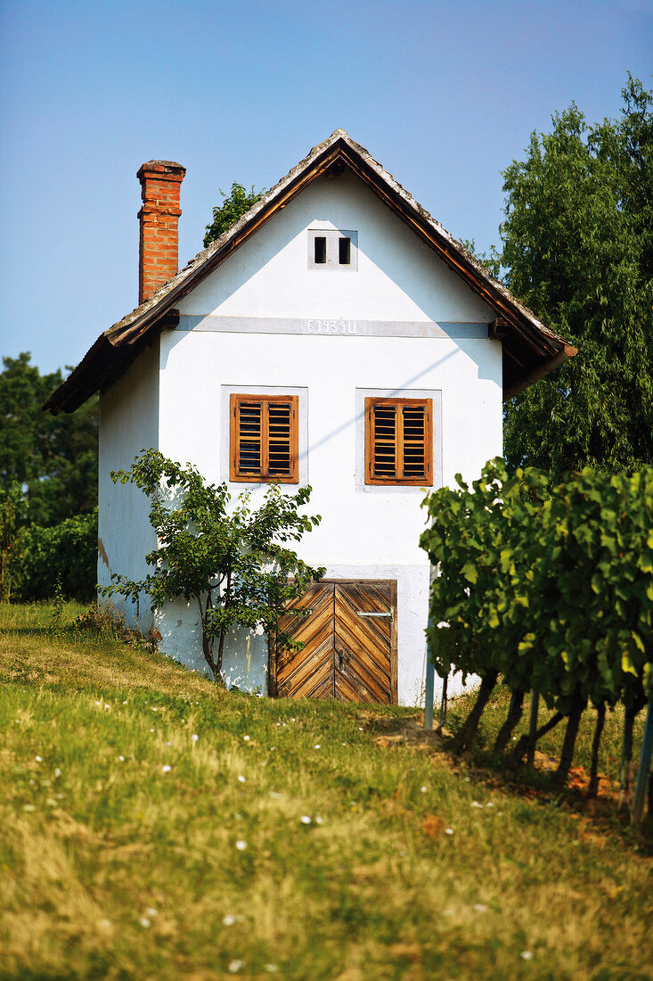 Weinanbaugebiet Eisenberg, Ferienhaus
