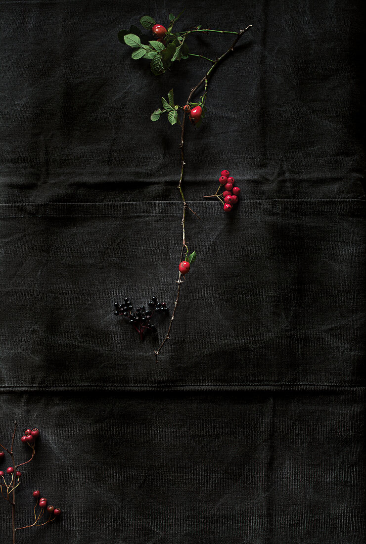 Crease fruit, elderberry and rosehip on black background
