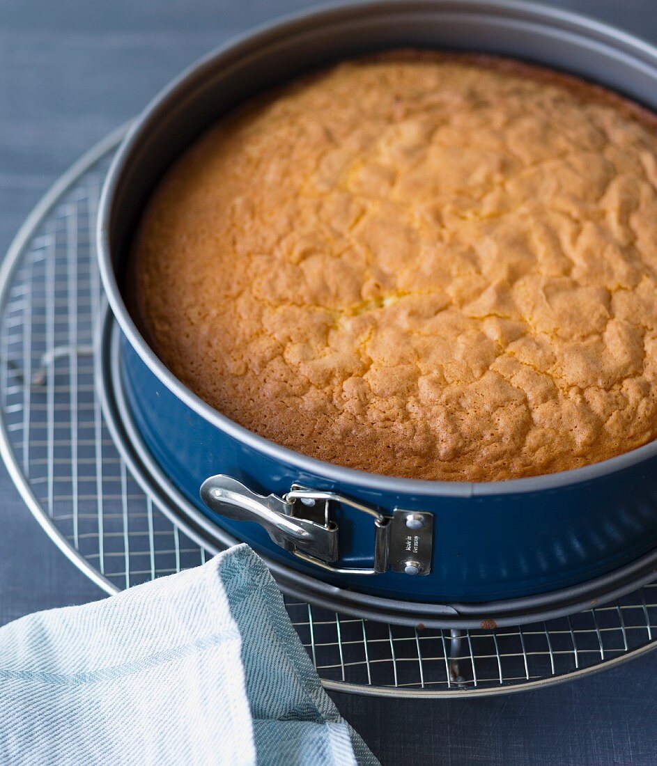 A baked sponge cake cooling in the baking tin