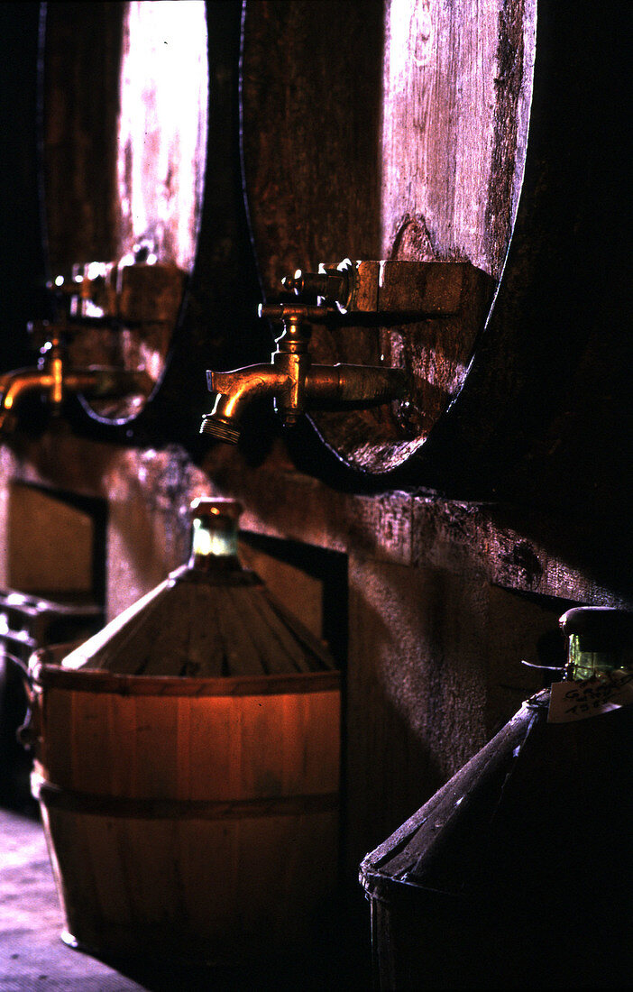 Weinkeller im Weingut Cave L'Etolle