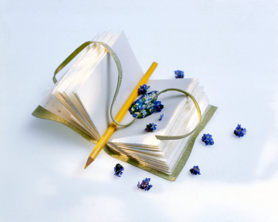 Leather bound diary with pencil against white background