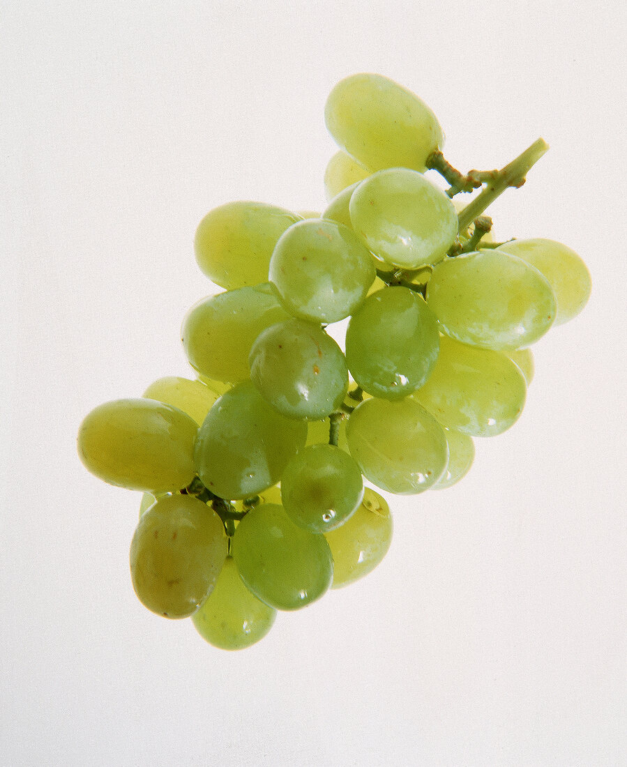 Grüne Weintrauben freigestellt 