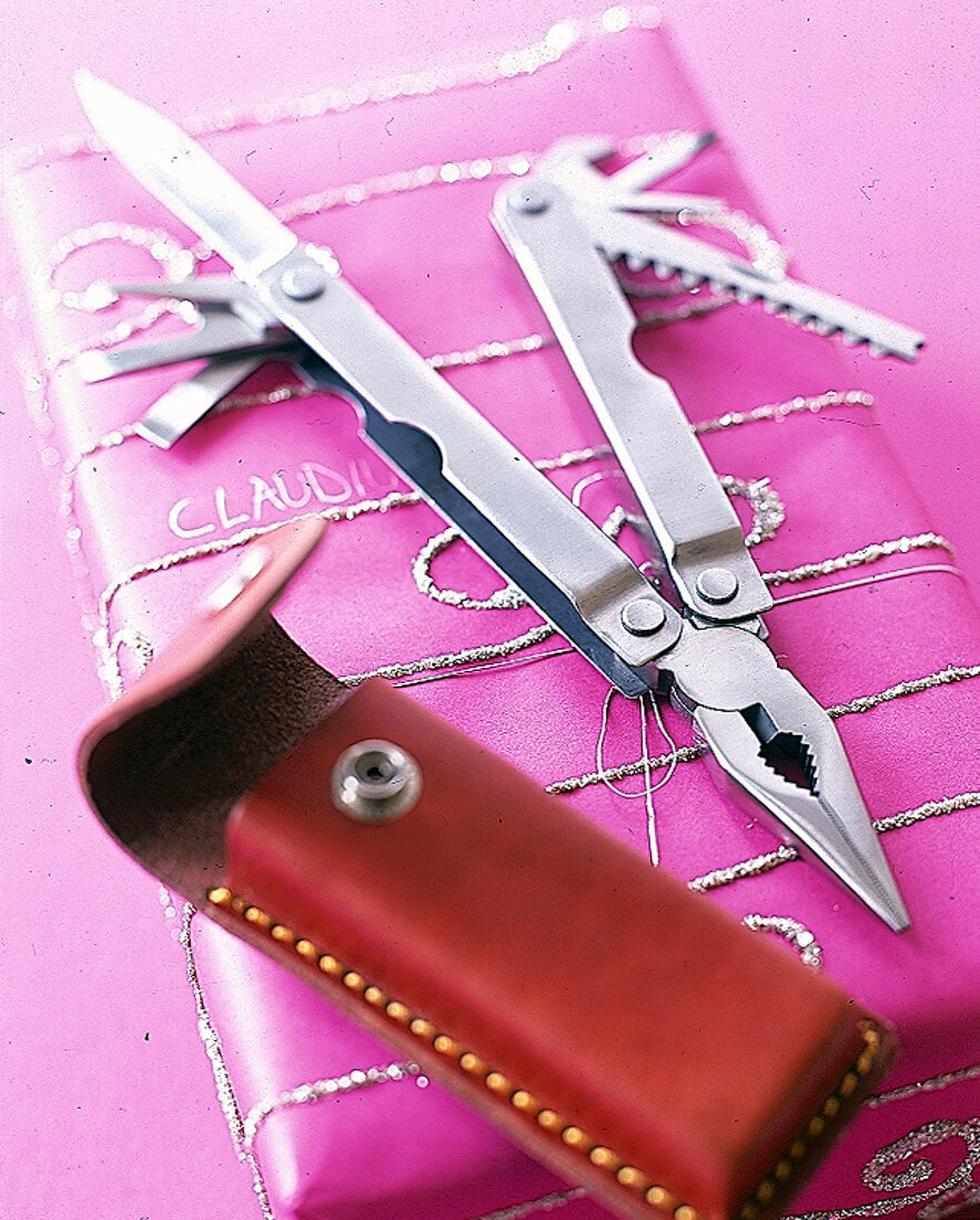 Multi-Tool (11 klappbare Werkzeuge wie ein Schweizer Messer) mit Etui