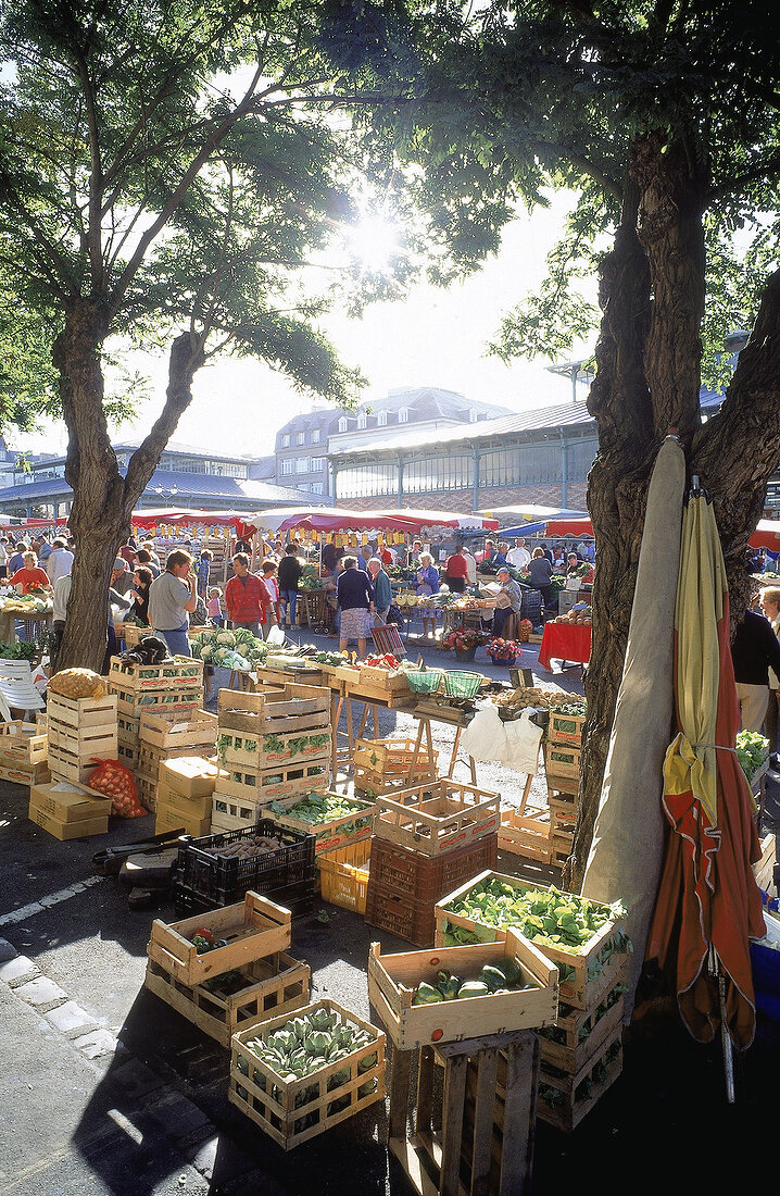 Marche des Lices - Marktplatz mit Verkauf von frischem Gemüse