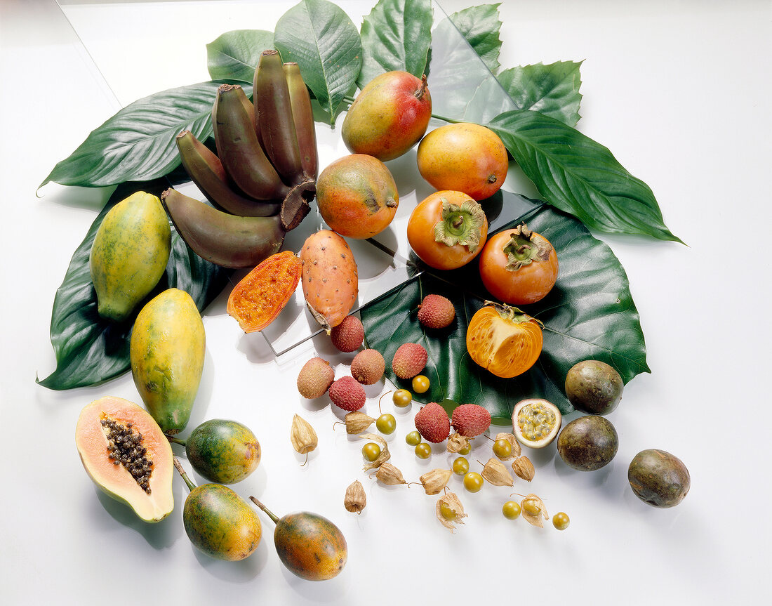 Various exotic fruit decorated with green leaves on background