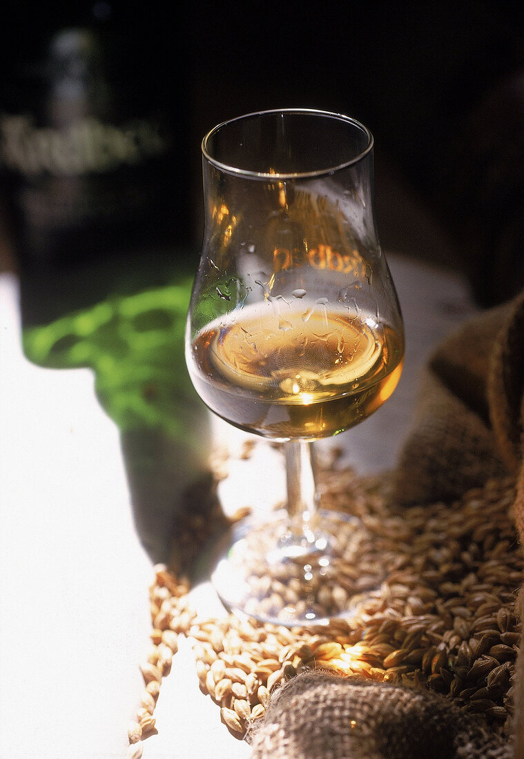 Stillife mit  Malt-Whisky der Ardbeg - Whisky-Destillery
