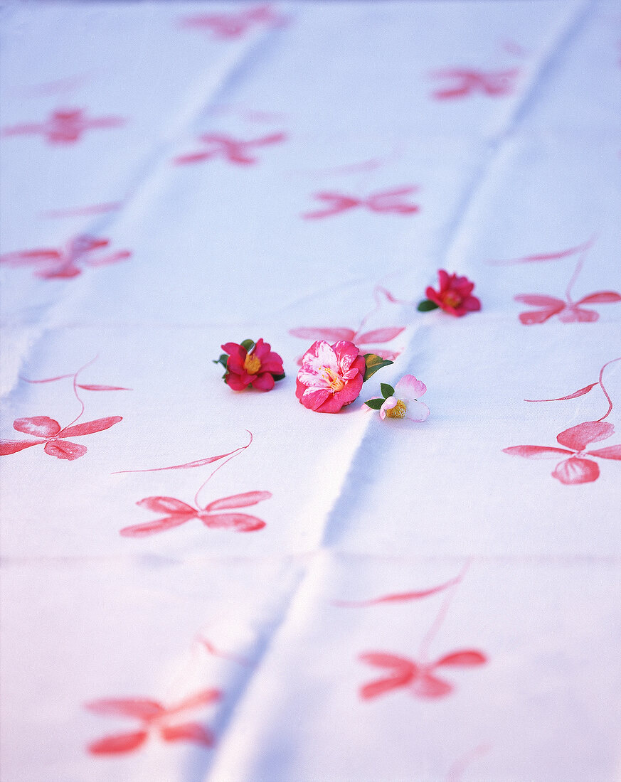 Rosa-rote Blueten liegen auf einem weissen Tuch mit Blumendruck,Nr.3