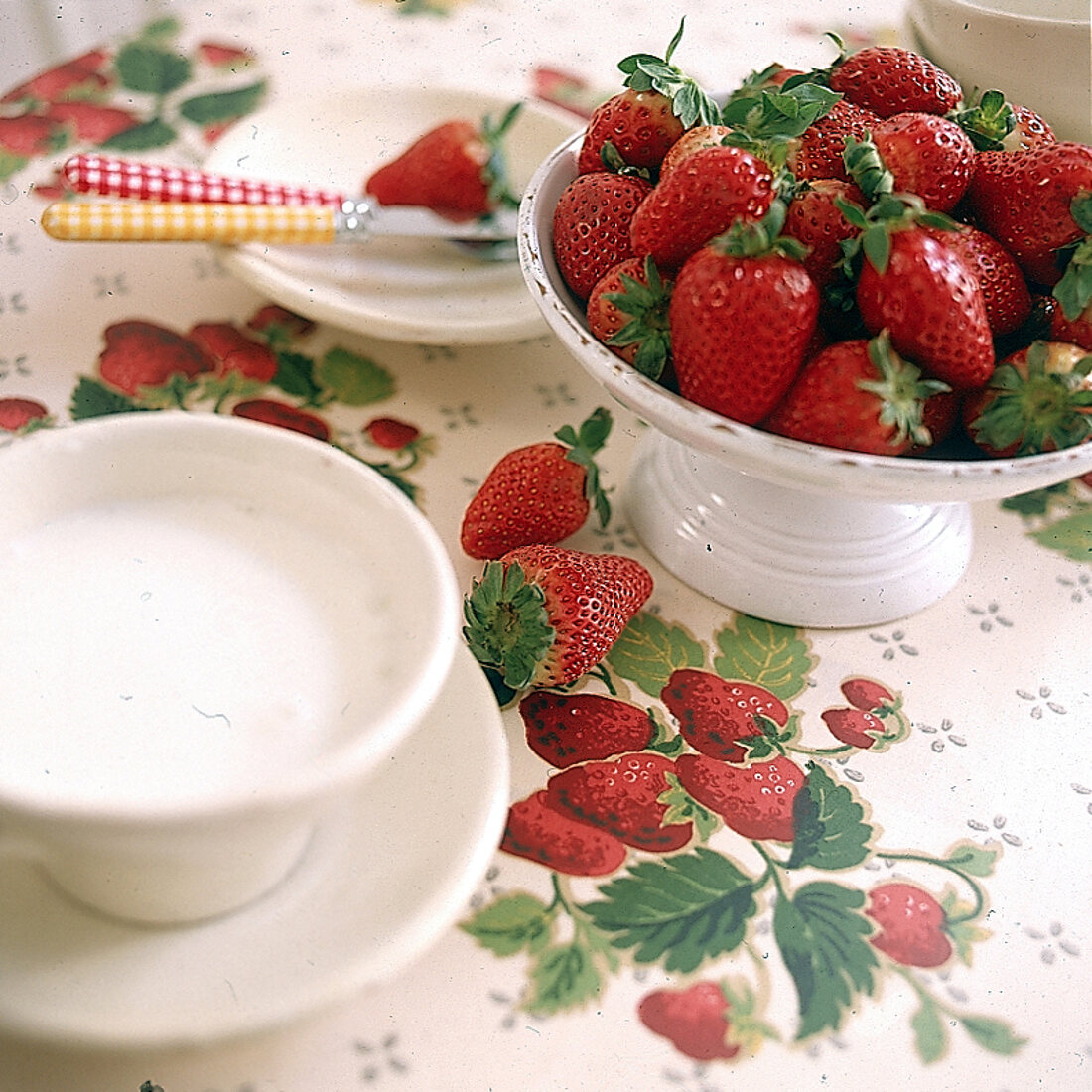 weiße, gefüllte Schale mit Erdbeeren Tischdecke im Obstdessin
