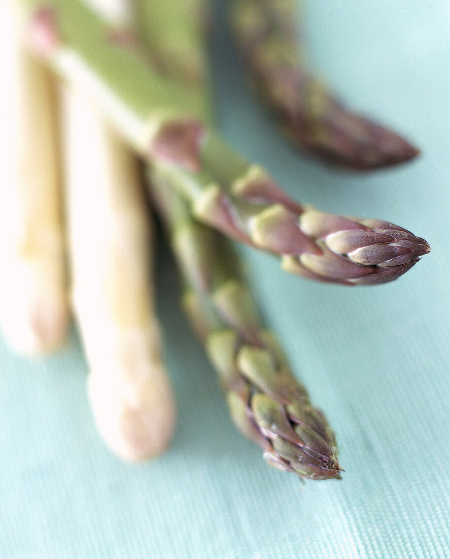 Stangenspargel  (grün+weiß) 