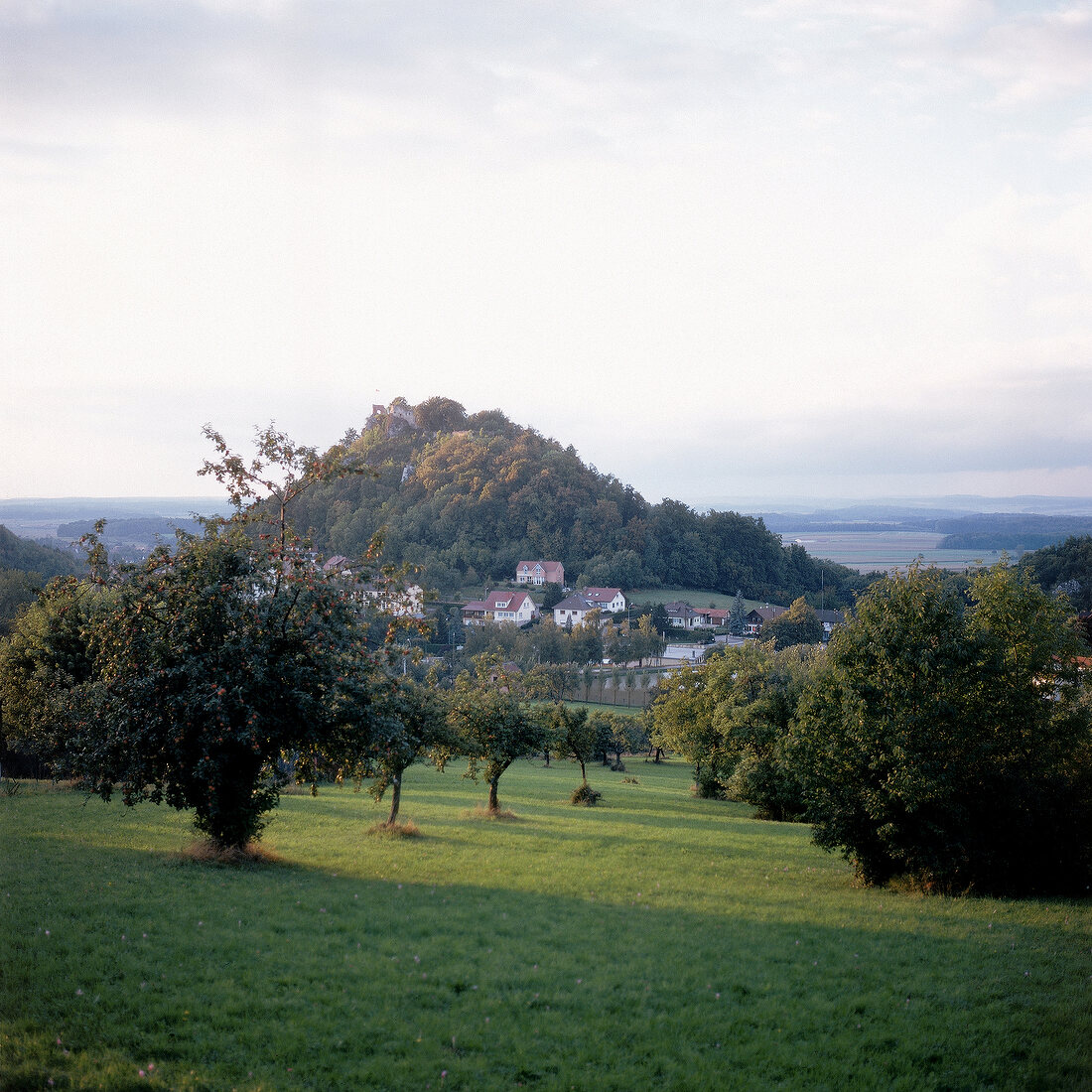 Festung Ferrette im Elsaß und Apfelgärten des Sundgau