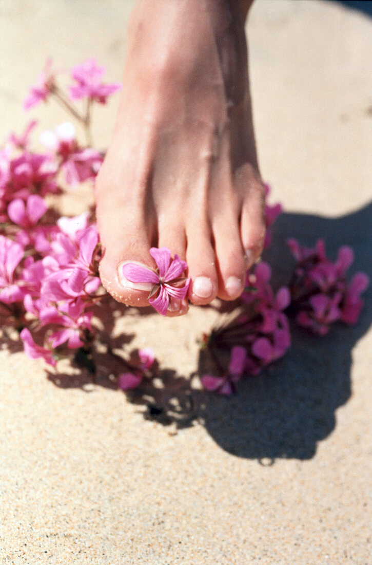Close-up of woman's feet with pink blossom flower between toes