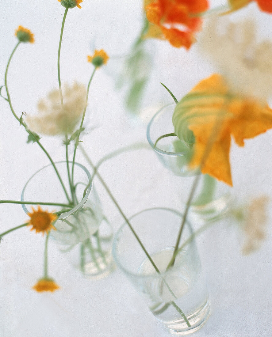 Gelbe Blumen im Wasserglas,Unschärfe 