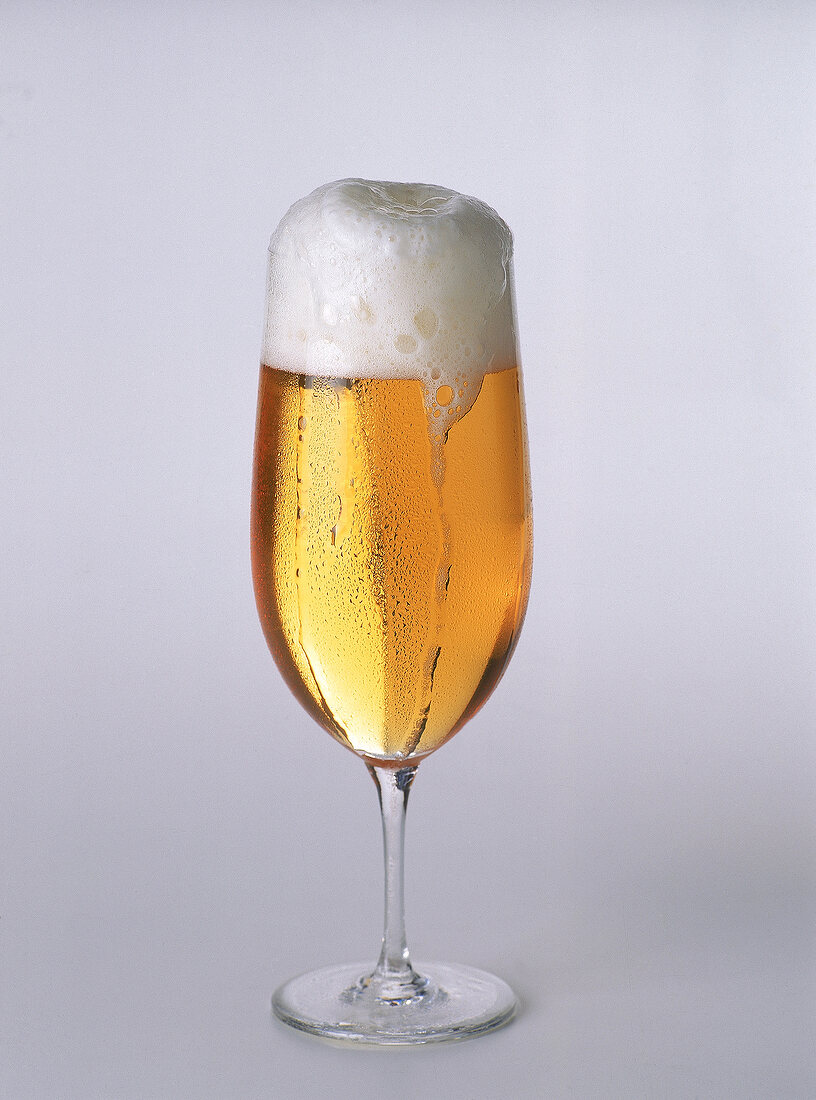 Ein Glas Bier (Pils) mit überlaufender Schaumkrone,Wassertropfen