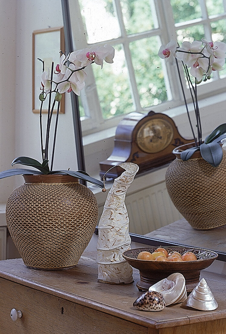 Bauchige mit Netz umwickelte Vase, weiße Orchidee,Muscheln+Schale.