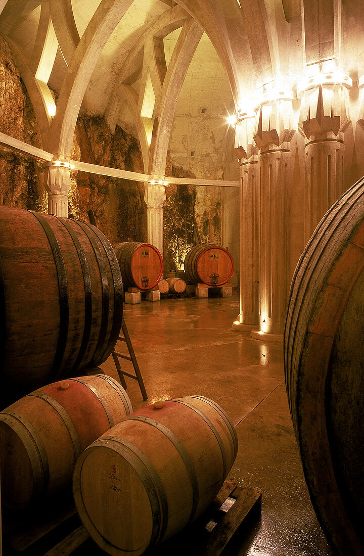 Weinlager in Saint-Rémy-de-Provence, auf Château Romanin