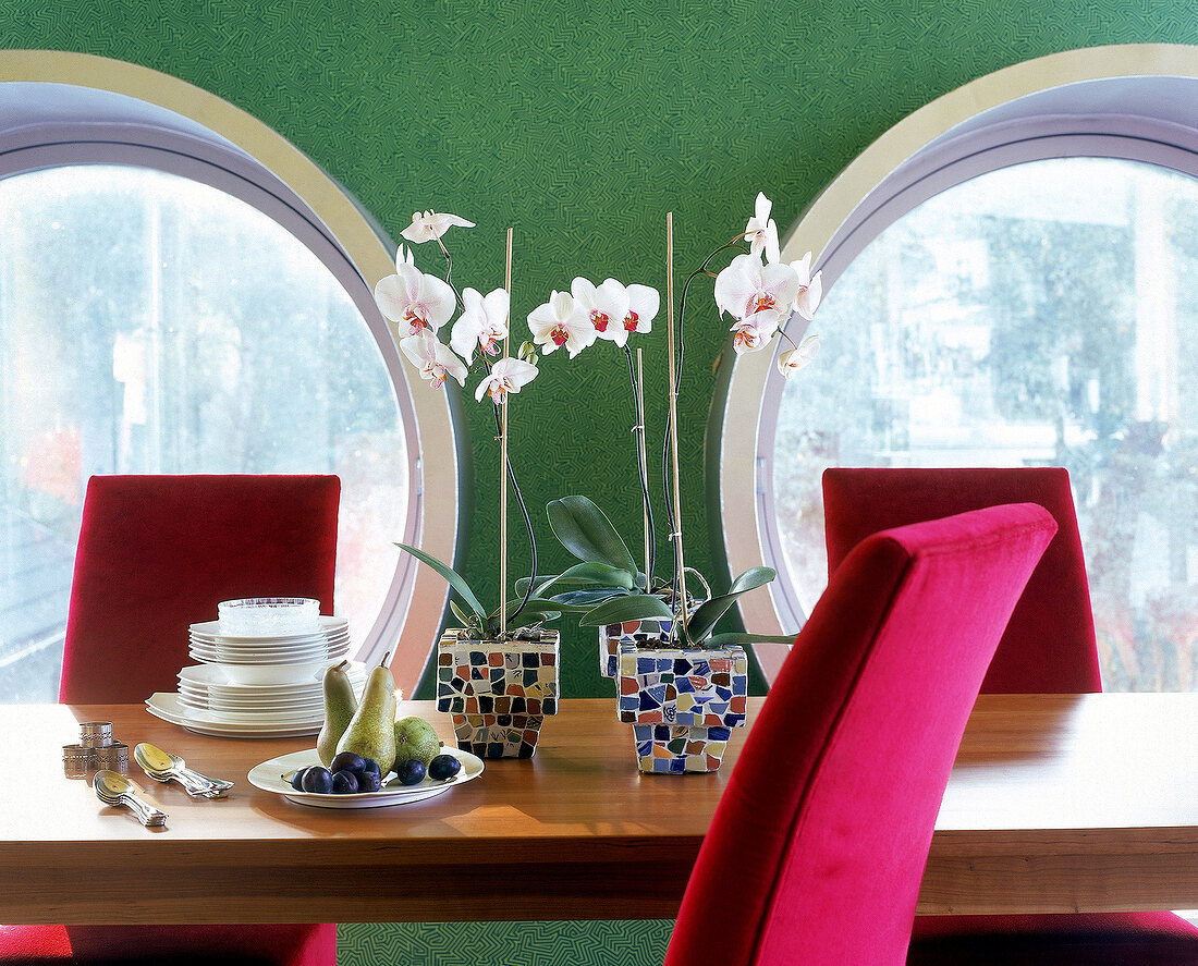 3 blühende Malaienblumen in bunten Töpfen,Bullaugenfenster+rote Stühle