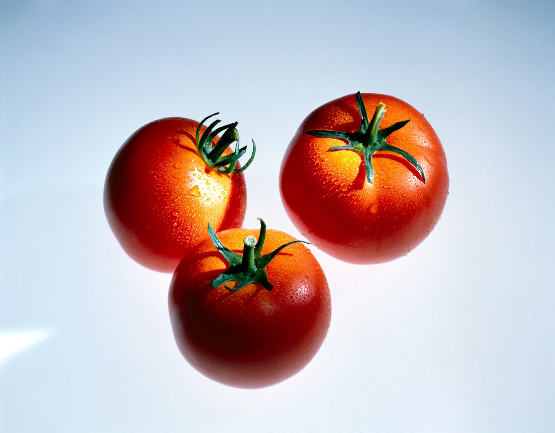 Drei Tomaten,Wassertropfen, Freisteller