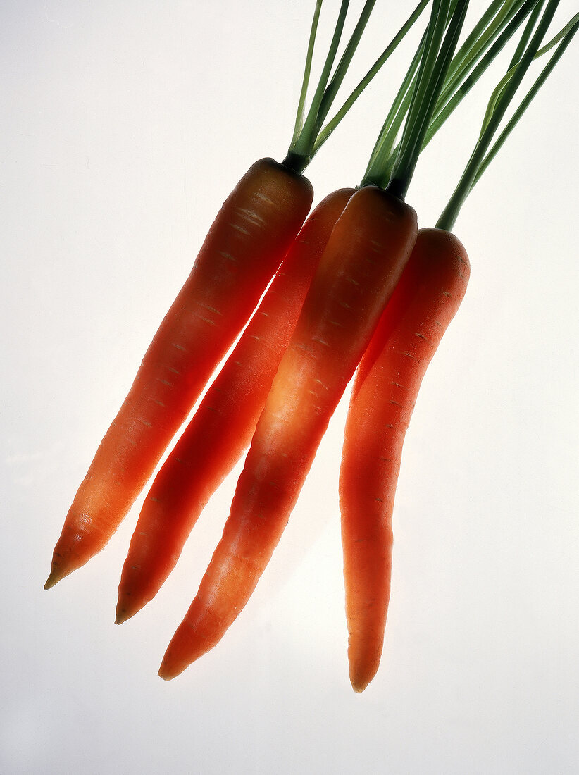 Vier Karotten, mit etwas Grün, Freisteller